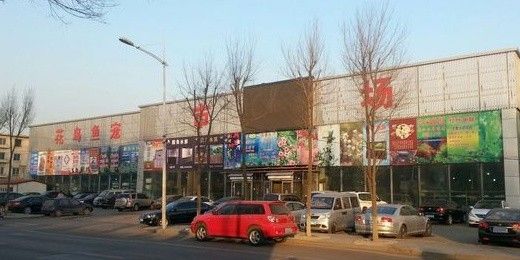 撫順縣開水族店怎么樣？加盟祥龍魚場賣龍魚市場怎樣？