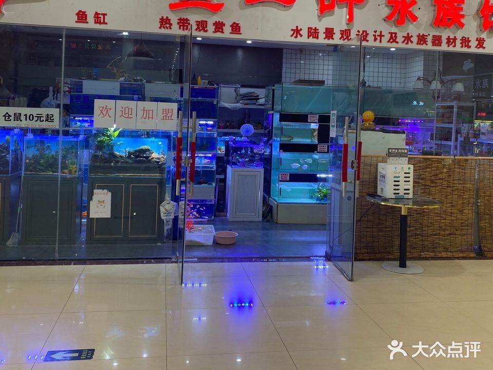 臨沂河東開水族店怎么樣？加盟祥龍魚場賣龍魚市場怎樣？ 臨沂河東開水族店怎么樣？加盟祥龍魚場賣龍魚市場怎樣？ 水族館百科（水族館加盟） 第1張