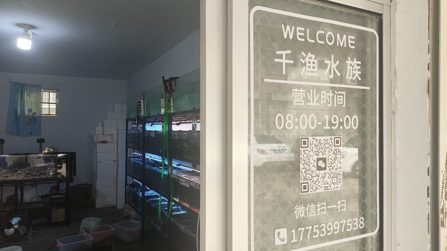 臨沂河東開水族店怎么樣？加盟祥龍魚場賣龍魚市場怎樣？ 臨沂河東開水族店怎么樣？加盟祥龍魚場賣龍魚市場怎樣？ 水族館百科（水族館加盟） 第3張
