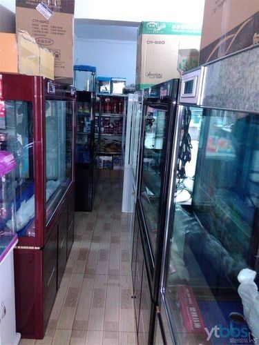 煙臺(tái)開水族店怎么樣？加盟祥龍魚場賣龍魚市場怎樣？