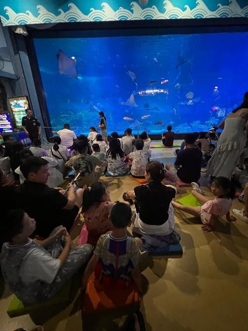 煙臺(tái)開水族店怎么樣？加盟祥龍魚場賣龍魚市場怎樣？