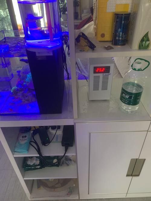 石首開水族店怎么樣？加盟祥龍魚場賣龍魚市場怎樣？