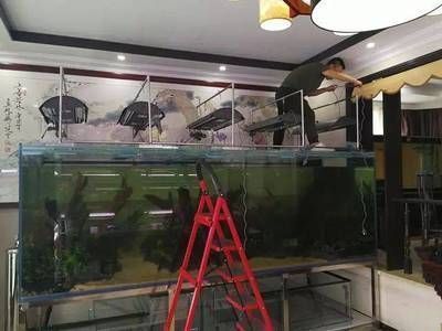 龍魚燈怎么擺放風水好（龍魚燈風水禁忌有哪些）