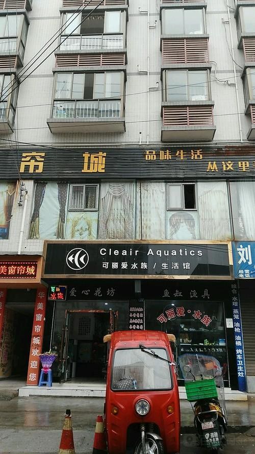 廣安開水族店怎么樣？加盟祥龍魚場賣龍魚市場怎樣？