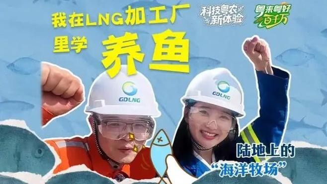 廣安開水族店怎么樣？加盟祥龍魚場賣龍魚市場怎樣？