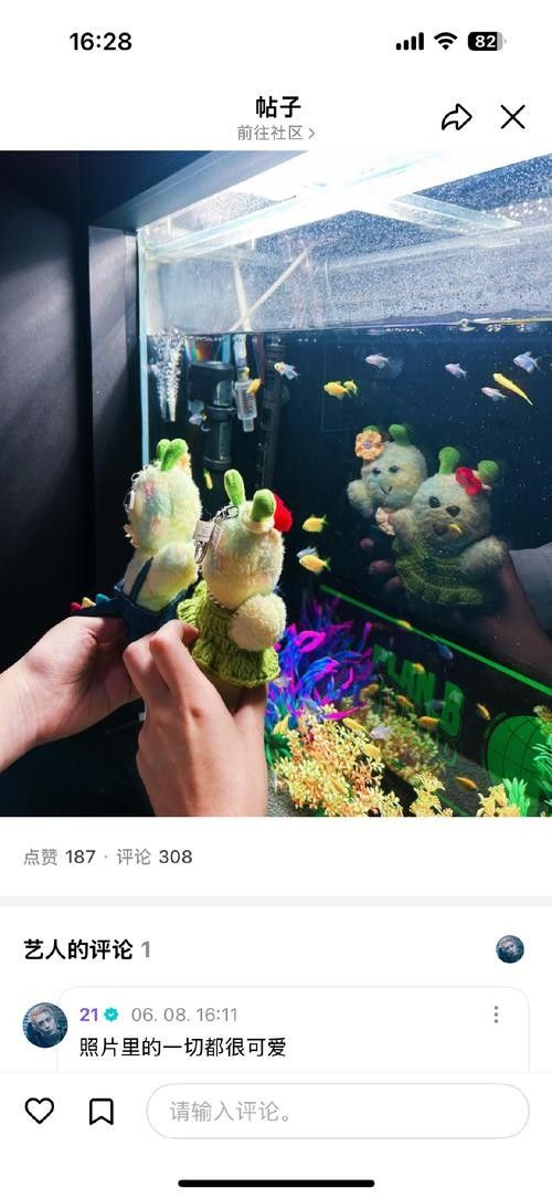 廣安開水族店怎么樣？加盟祥龍魚場賣龍魚市場怎樣？