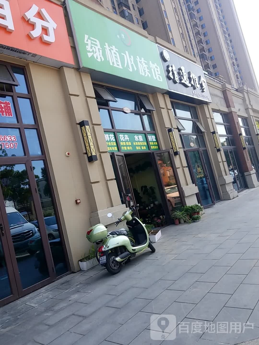 黃州開水族店怎么樣？加盟祥龍魚場賣龍魚市場怎樣？
