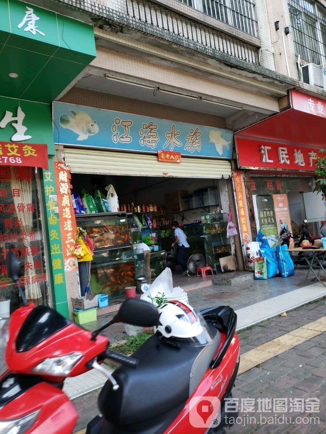 江海開水族店怎么樣？加盟祥龍魚場賣龍魚市場怎樣？