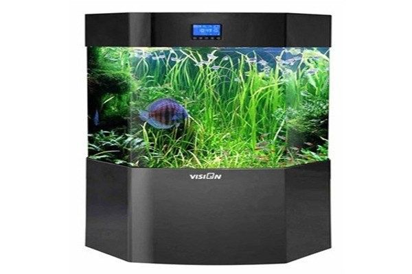 巴南開水族店怎么樣？加盟祥龍魚場賣龍魚市場怎樣？