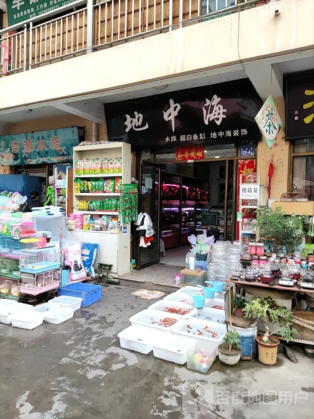 秦州開水族店怎么樣？加盟祥龍魚場賣龍魚市場怎樣？
