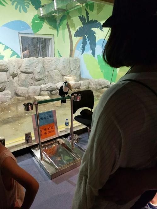 北戴河開水族店怎么樣？加盟祥龍魚場賣龍魚市場怎樣？