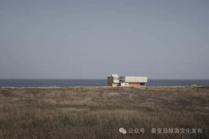 北戴河開水族店怎么樣？加盟祥龍魚場賣龍魚市場怎樣？