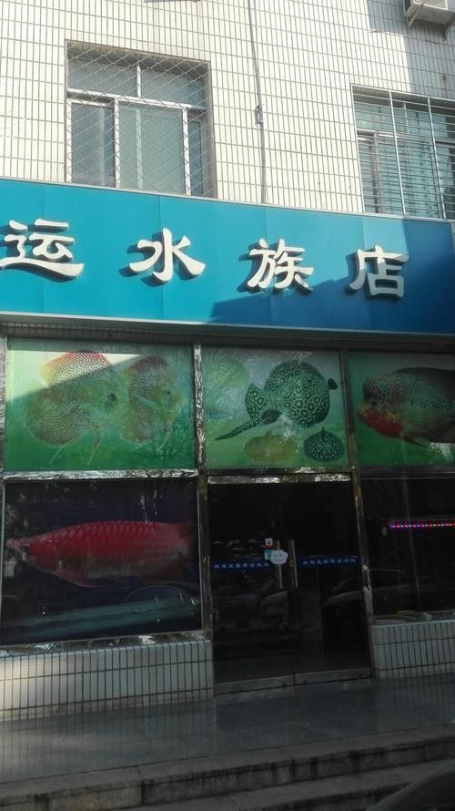 懷柔開水族店怎么樣？加盟祥龍魚場賣龍魚市場怎樣？