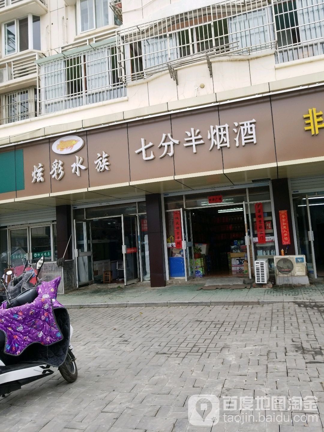 浦口開水族店怎么樣？加盟祥龍魚場賣龍魚市場怎樣？
