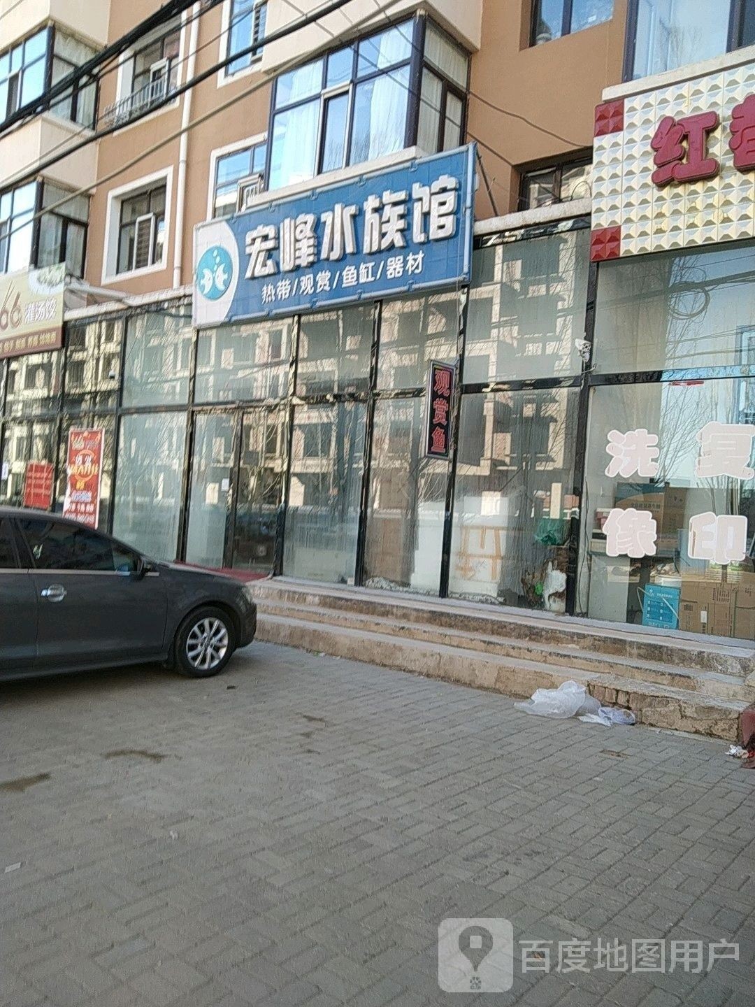 商都開水族店怎么樣？加盟祥龍魚場賣龍魚市場怎樣？
