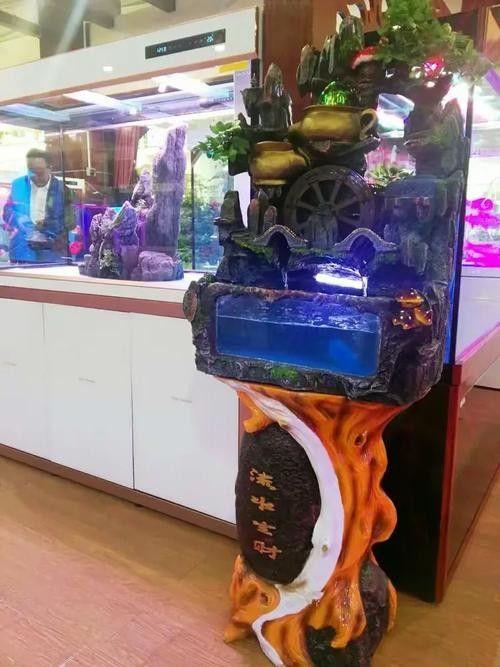 青海開水族店怎么樣？加盟祥龍魚場賣龍魚市場怎樣？