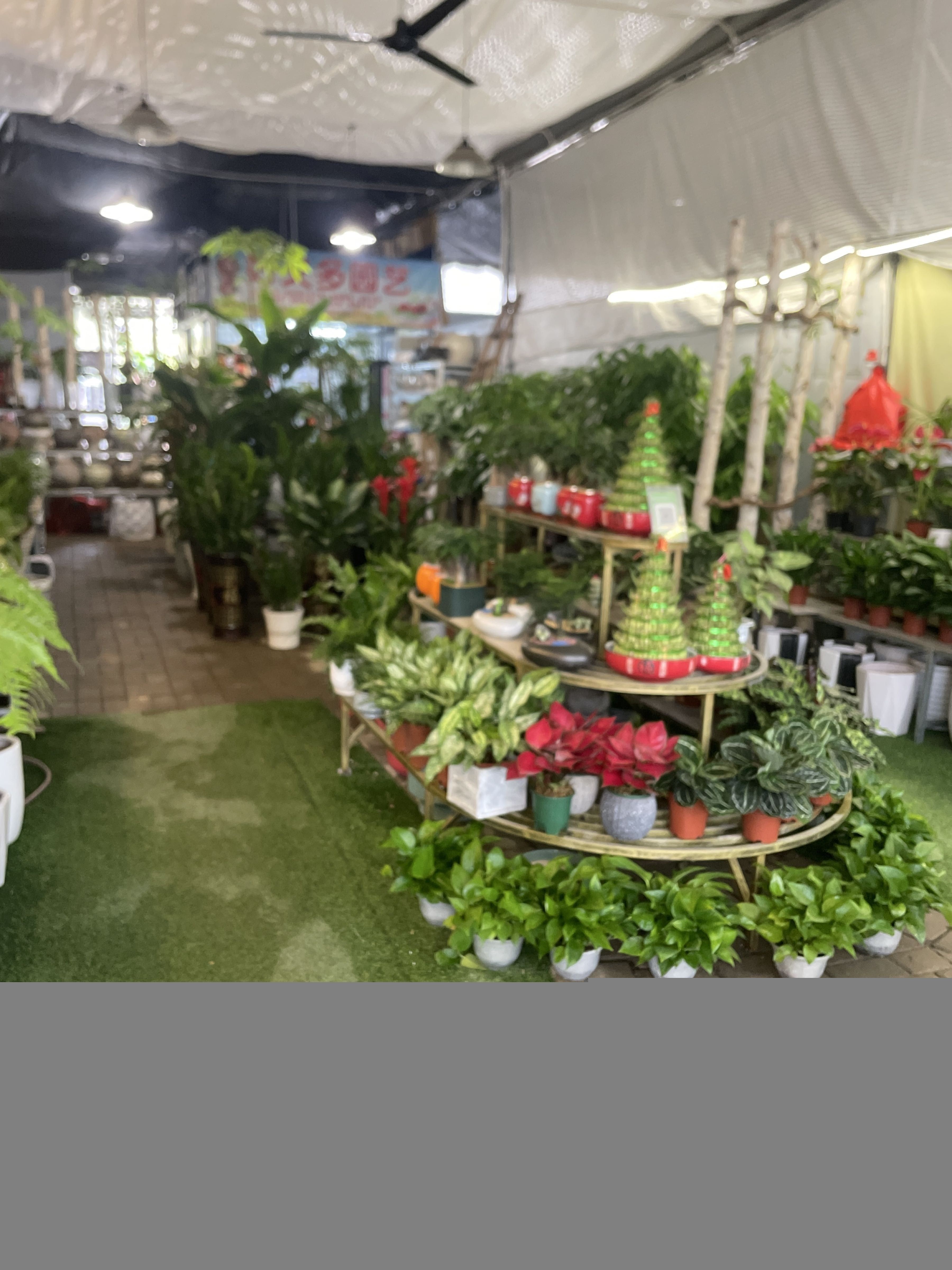 零陵開水族店怎么樣？加盟祥龍魚場賣龍魚市場怎樣？ 零陵開水族店怎么樣？加盟祥龍魚場賣龍魚市場怎樣？ 水族館百科（水族館加盟） 第1張