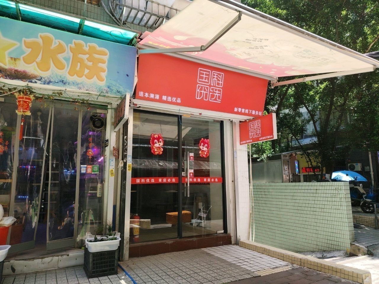 零陵開水族店怎么樣？加盟祥龍魚場賣龍魚市場怎樣？ 零陵開水族店怎么樣？加盟祥龍魚場賣龍魚市場怎樣？ 水族館百科（水族館加盟） 第2張
