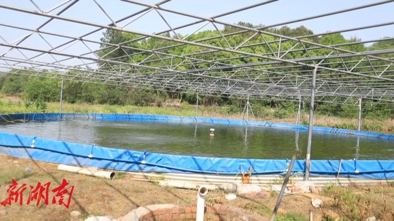 零陵開水族店怎么樣？加盟祥龍魚場賣龍魚市場怎樣？ 零陵開水族店怎么樣？加盟祥龍魚場賣龍魚市場怎樣？ 水族館百科（水族館加盟） 第4張