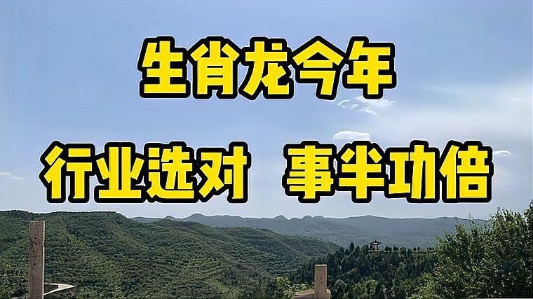 五行龍中哪種最適合創(chuàng)業(yè)？ 五行龍中哪種最適合創(chuàng)業(yè)？ 龍魚百科 第4張