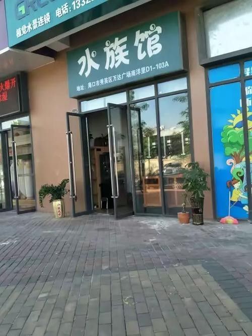 秀英開水族店怎么樣？加盟祥龍魚場賣龍魚市場怎樣？