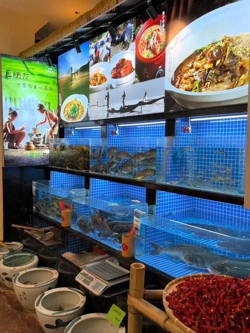 長垣開水族店怎么樣？加盟祥龍魚場賣龍魚市場怎樣？