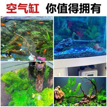 咸陽市金龍魚公司地址