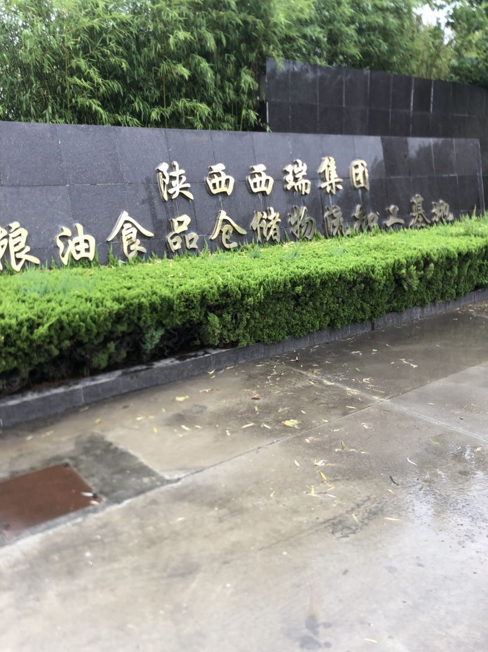 咸陽市金龍魚公司地址