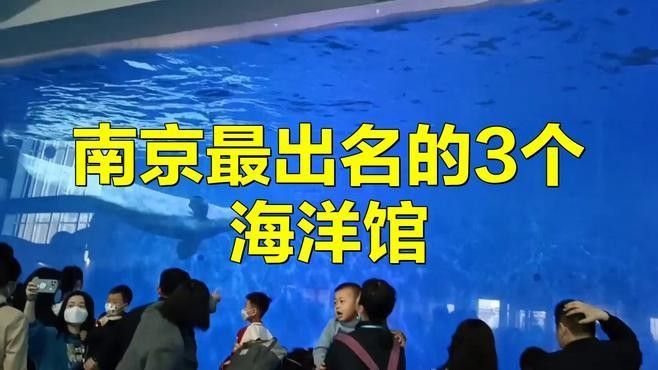 南京開水族店怎么樣？加盟祥龍魚場賣龍魚市場怎樣？ 南京開水族店怎么樣？加盟祥龍魚場賣龍魚市場怎樣？ 水族館百科（水族館加盟） 第4張