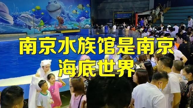 南京開水族店怎么樣？加盟祥龍魚場賣龍魚市場怎樣？ 南京開水族店怎么樣？加盟祥龍魚場賣龍魚市場怎樣？ 水族館百科（水族館加盟） 第2張