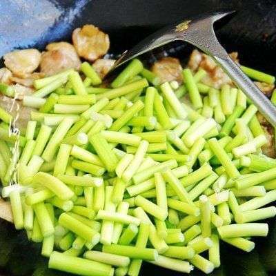 金龍魚抗生素藥物：金龍魚抗生素用啥藥效果好