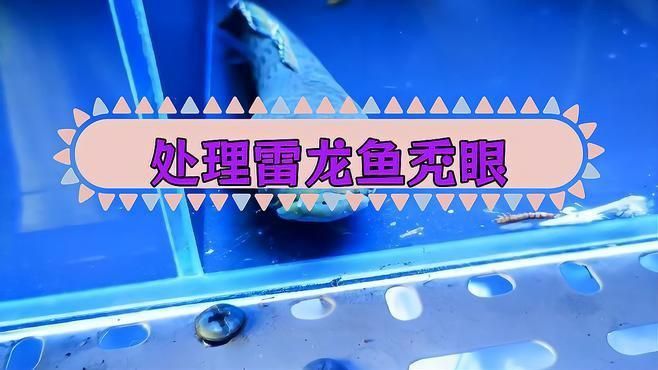 如何判斷雷龍魚眼睛外凸的原因？