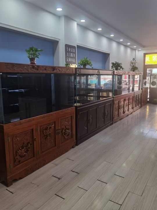 密云開水族店怎么樣？加盟祥龍魚場賣龍魚市場怎樣？ 密云開水族店怎么樣？加盟祥龍魚場賣龍魚市場怎樣？ 水族館百科（水族館加盟） 第3張