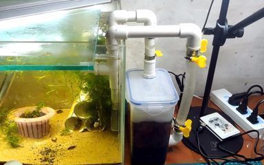 自制魚缸過濾器循環水不用電（如何利用風能制作魚缸過濾器） 自制魚缸過濾器循環水不用電（如何利用風能制作魚缸過濾器） 龍魚百科 第5張