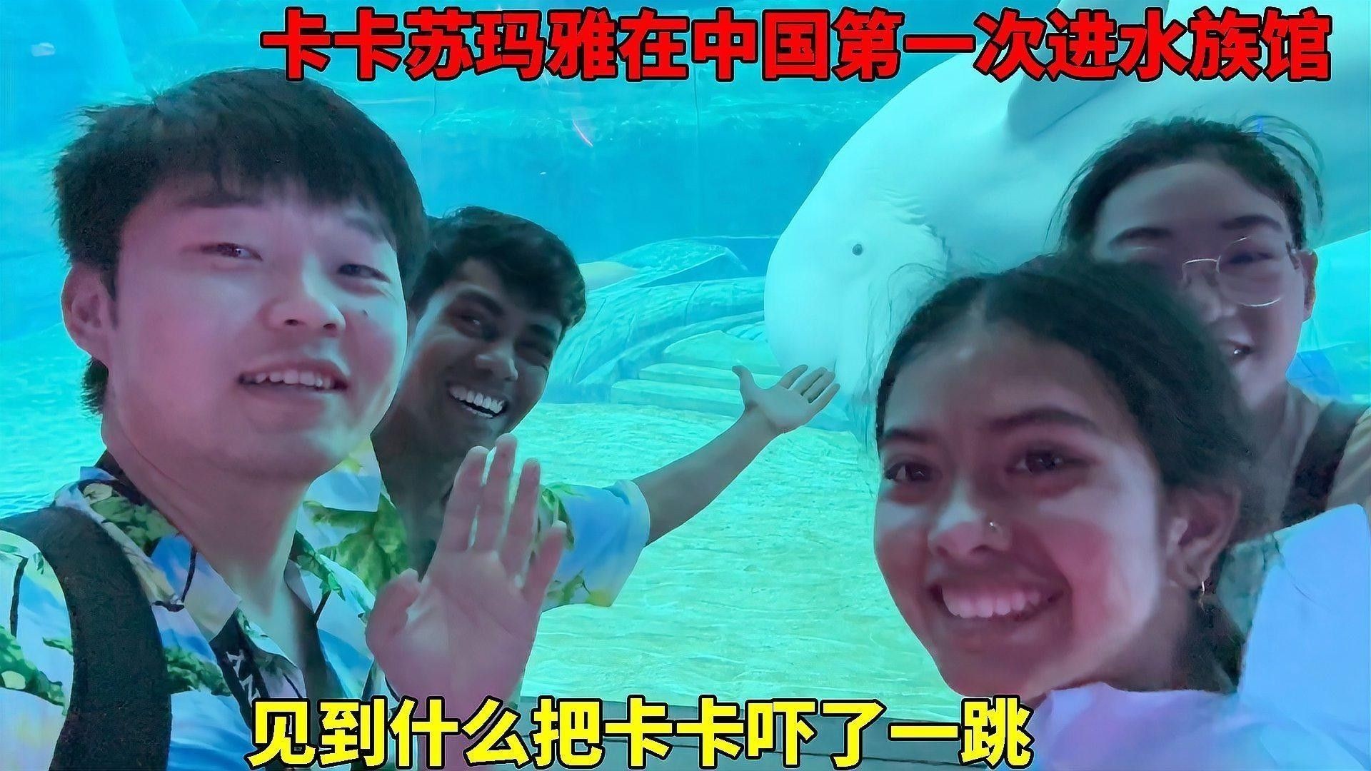 海南開水族店怎么樣？加盟祥龍魚場賣龍魚市場怎樣？
