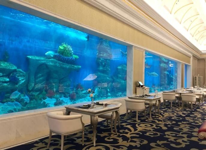 海南開水族店怎么樣？加盟祥龍魚場賣龍魚市場怎樣？