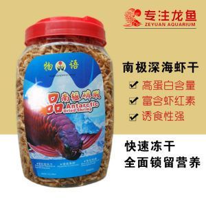 紅龍魚尺寸怎么量的好看：如何測(cè)量和挑選好看的紅龍魚
