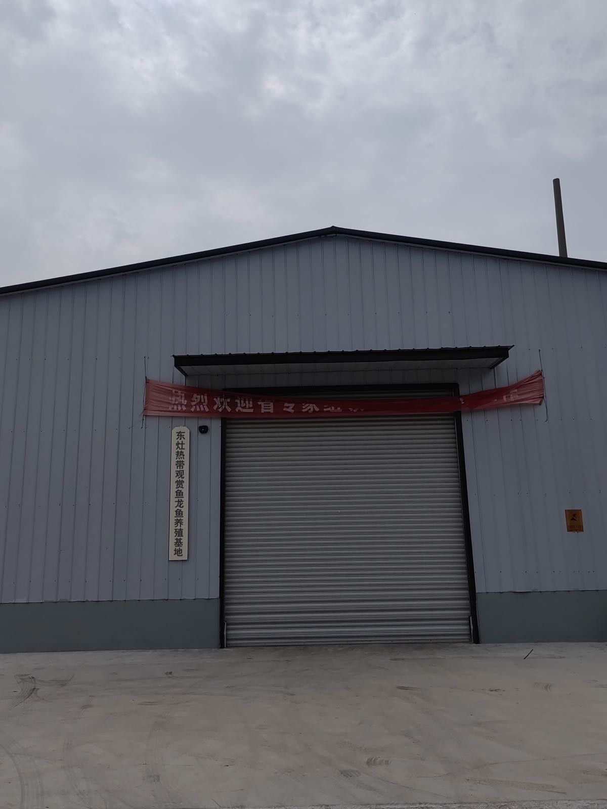 九臺開水族店怎么樣？加盟祥龍魚場賣龍魚市場怎樣？
