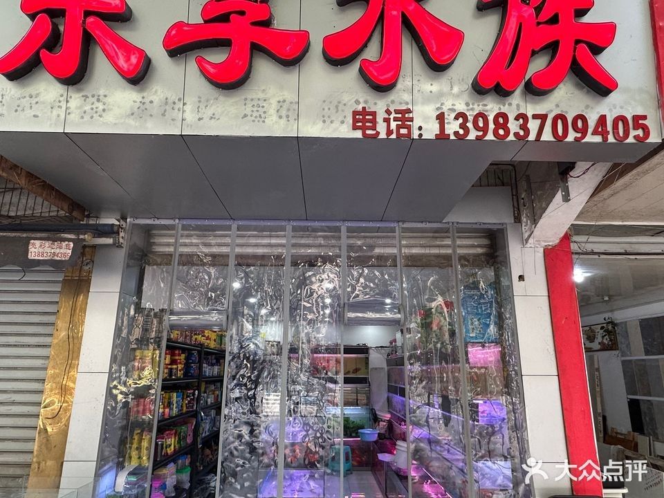 武隆開水族店怎么樣？加盟祥龍魚場賣龍魚市場怎樣？