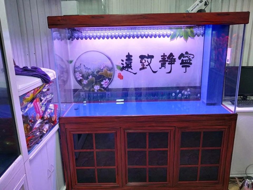武隆開水族店怎么樣？加盟祥龍魚場賣龍魚市場怎樣？