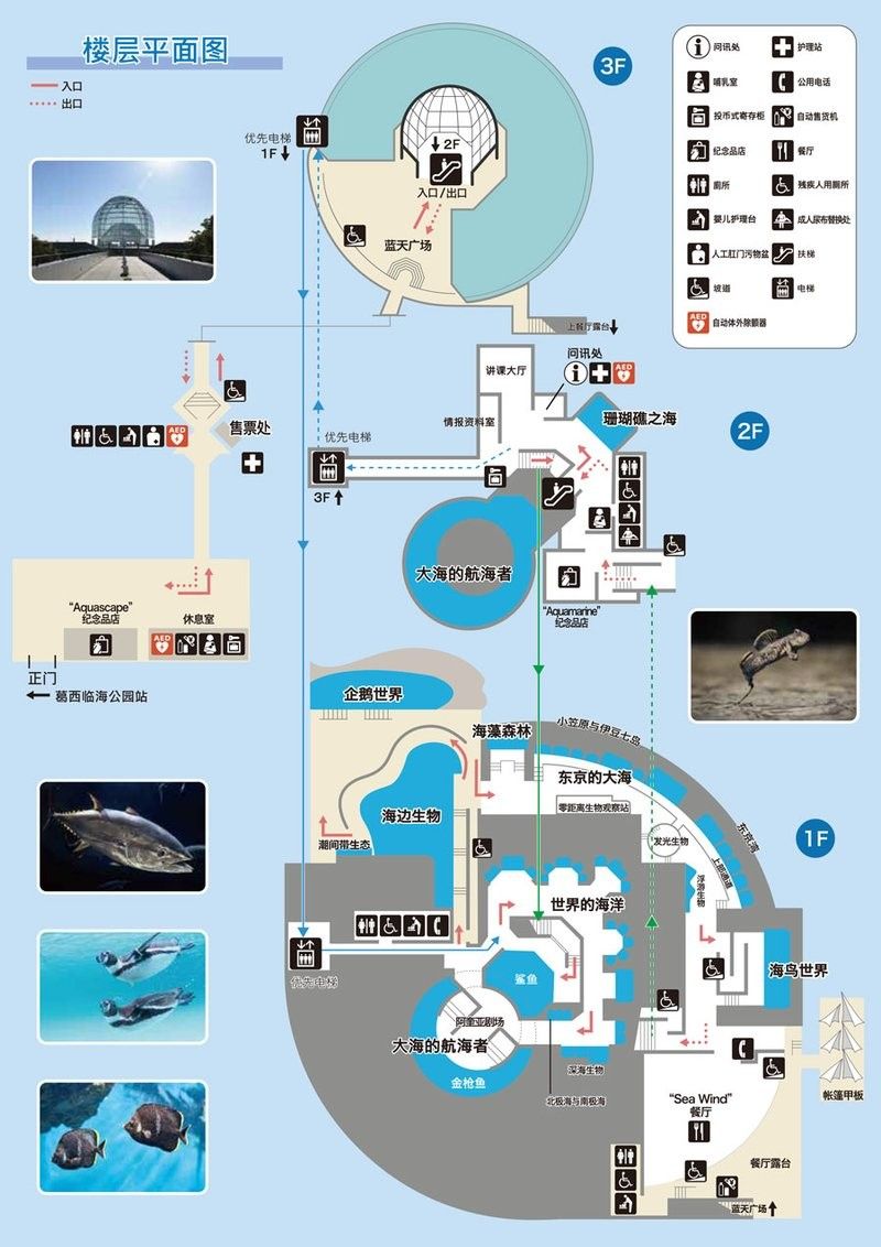 臨海開水族店怎么樣？加盟祥龍魚場賣龍魚市場怎樣？