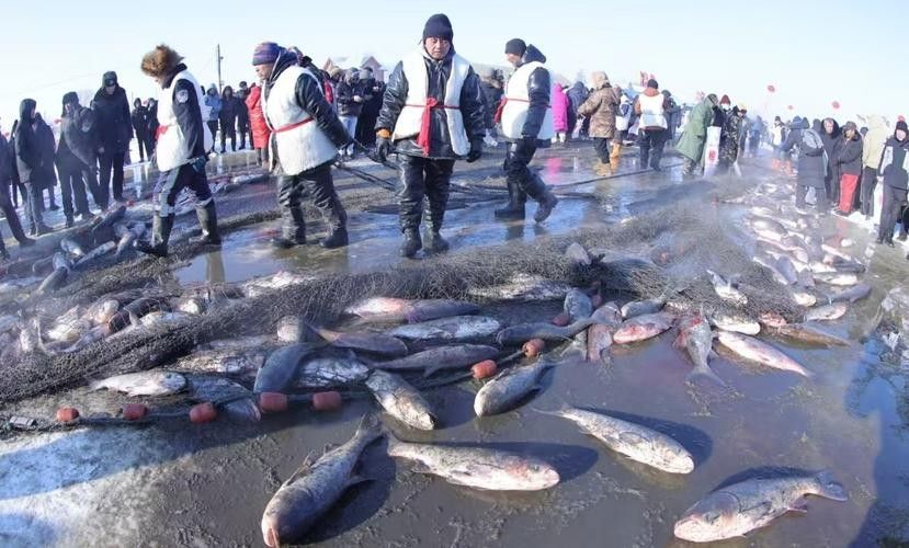 牡丹江開水族店怎么樣？加盟祥龍魚場賣龍魚市場怎樣？ 牡丹江開水族店怎么樣？加盟祥龍魚場賣龍魚市場怎樣？ 水族館百科（水族館加盟） 第6張