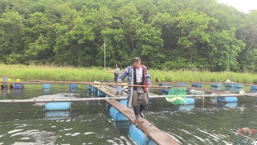 牡丹江開水族店怎么樣？加盟祥龍魚場賣龍魚市場怎樣？