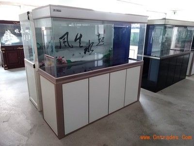 魚缸龍魚繁殖：幼年龍魚喂養的要點 魚缸龍魚繁殖：幼年龍魚喂養的要點 龍魚百科 第3張