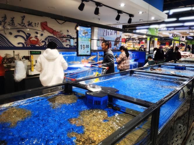伊寧開水族店怎么樣？加盟祥龍魚場(chǎng)賣龍魚市場(chǎng)怎樣？