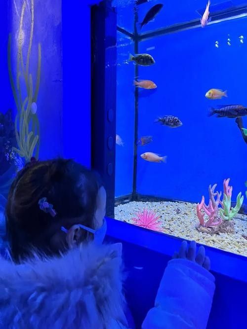 伊寧開水族店怎么樣？加盟祥龍魚場(chǎng)賣龍魚市場(chǎng)怎樣？
