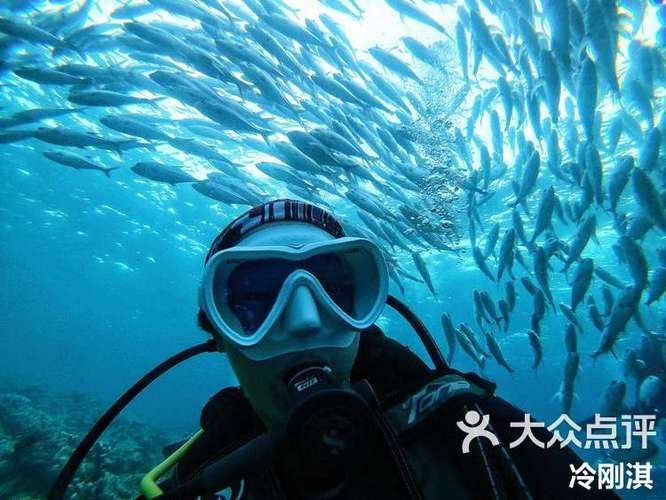 伊寧開水族店怎么樣？加盟祥龍魚場(chǎng)賣龍魚市場(chǎng)怎樣？