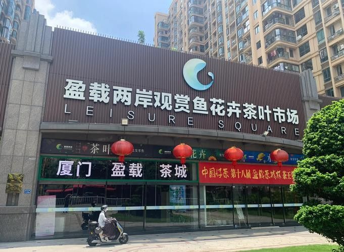 廈門開水族店怎么樣？加盟祥龍魚場賣龍魚市場怎樣？