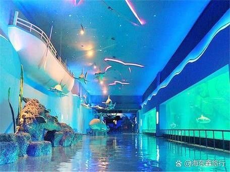 海東開水族店怎么樣？加盟祥龍魚場賣龍魚市場怎樣？