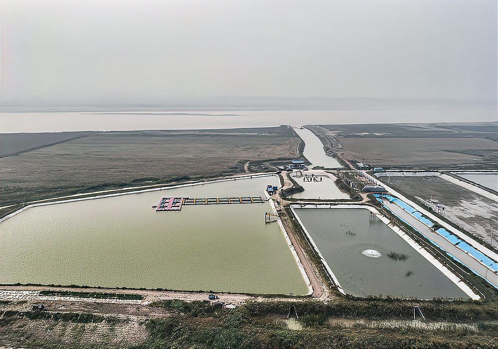 中國龍魚養殖場 中國龍魚養殖場 龍魚百科 第8張